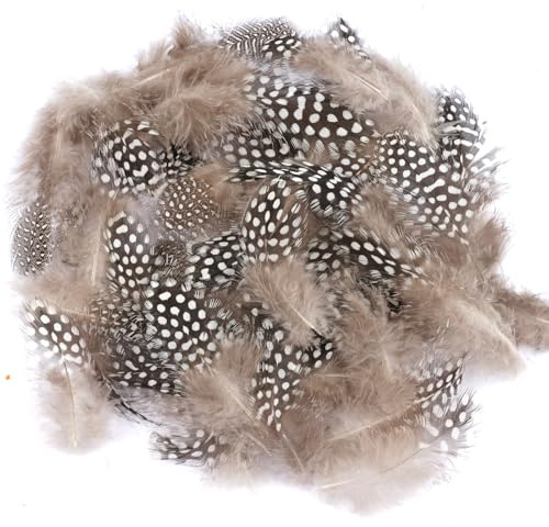 SUNRIZ Federn zum Basteln,300 Stück Perlhuhnfedern, 5-12 cm Natürliche Gesprenkelte Federn, Deko, DIY Grau Bastelfedern für Ohrringe, Traumfänger, Kopfschmuck, Hochzeit Dekoration (Braun)