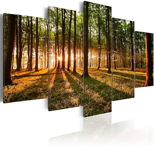 B&D XXL Acrylglasbild 200x100 cm 5 Teilig Wandbild auf Acryl Glasbilder Kunstdruck Moderne Acrylglas Platte Wanddekoration Geschenke Heimdekoration Glasbild b-B-0027-k-o