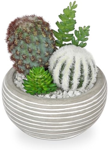 Oairse Small Artificial Cactus Plant in Cement Pots Assorted Artificial Succulent Plants Decorative Faux Cacti Small Fake Plants for Home Kitchen Bathroom Desk shelf Indoor Decor