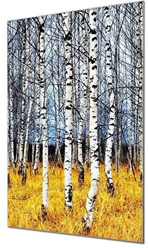 banjado Glas Magnetwand 40x60 mit Waldmotiv für Notizen, beschreibbar | Natürliches Magnetboard für Alltag und Planung, mit Motiv Birkenhain aus Wald und Natur