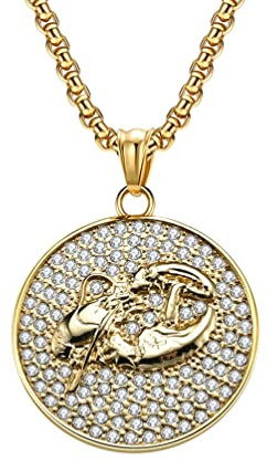HIJONES Herren Edelstahl Sternbild Münze Halskette mit Zirkonia Horoskop Sternzeichen Anhänger Astrologie Schmuck