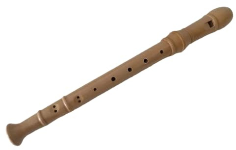 Vuxeninspelare Träblockflöjt 8 Håls Pedagogiskt Instrument Med Fodral För Nybörjare Och Musikövningar