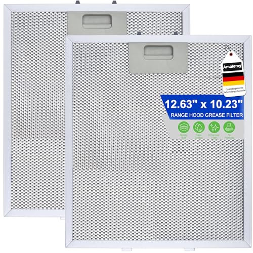 EITEYI Confezione da 2 filtri per cappa aspirante, 320 mm x 260 mm, filtro antigrasso a 4 strati in alluminio a rete metallica, filtri universali per cappa/aspiratore, argento