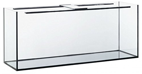 Diversa Aquarium Becken Aquarien rechteckig Aquariumbecken Standard Verschiedene Größen Glasbecken (100 x 50 x 50 cm / 8 mm Glas)