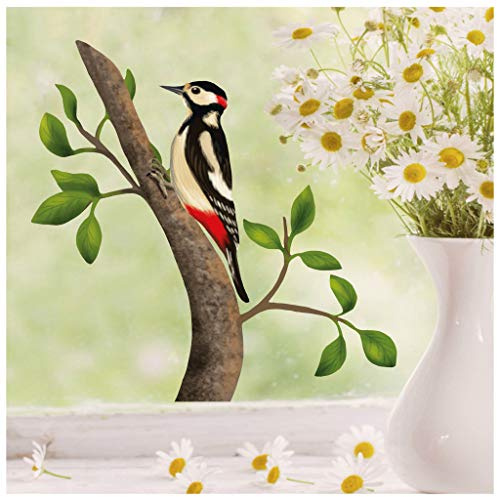 Wandtattoo Loft Fensterbilder Frühling Specht Motiv – A4 Bogen, Wiederverwendbar – Frühlingsdeko Fenster Kinderzimmer, Frühlingsbild Fenster, Fensterdeko Frühling, Fensterfolie Frühling Selbstklebend