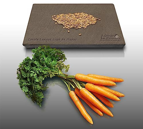 500 graines à semer - Le Grenier d'Abondance - CAROTTE Longue Lisse de Meaux - Daucus Carota