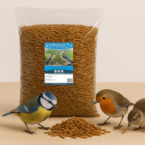 1 kg Getrocknete Mehlwürmer Futterbauer – 100% Naturfutter für Wildvögel, Fische & Igel | Proteinreiches Premiumfutter ohne Zusätze | Ideal als Vogelfutter, Fischfutter & Igelfutter