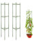 Cage à Tomates Support, Tuteur Plante Grimpante 120 cm, Support Plante Grimpante Interieur Exterieur, Obélisque Treillis de Jardin pour Tomate Pois Pivoine (2 Pièces)