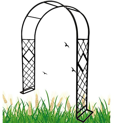 Arche de jardin pour plantes grimpantes - Treillis en métal robuste - Décoration extérieure élégante pour mariages et fêtes - Noir - Dimensions : 260 x 230 cm (l x H)