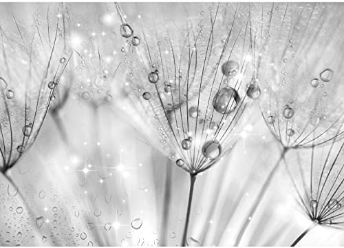 Runa Art Papier peint intissé 396 x 280 cm pissenlit fleurs | Toison Décoration Murale Salon Chambre á Coucherr | Fabrication Allemande | Noir et blanc 9436012c