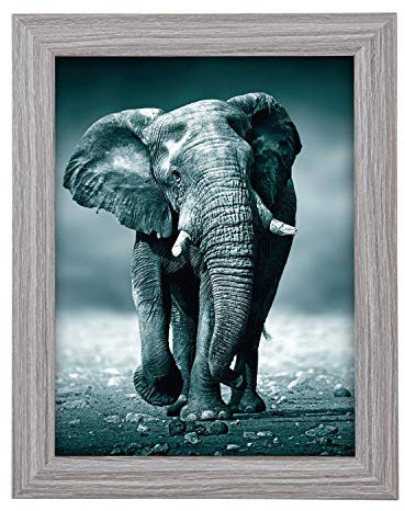 goldbuch 92 0743 Bilderrahmen Toscana aus Holz, Fotorahmen für Bild im 13x18 cm Format, Portraitrahmen mit Aufsteller & Wandhalterung, Einzelrahmen aus MDF, Foto Rahmen, grau