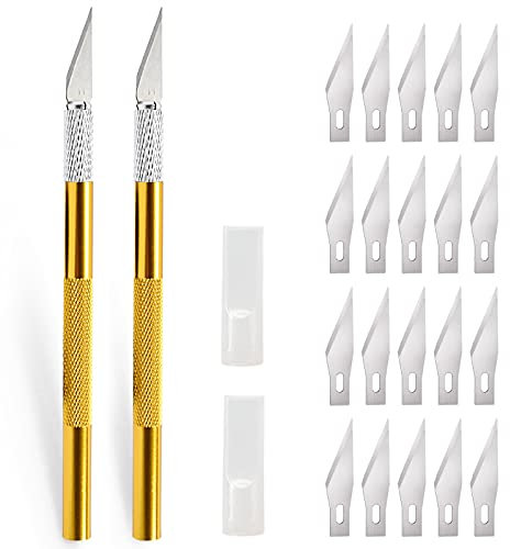 EHDIS 2 pezzi Cutter Precisione con 20 lame, coltello artigianale, coltello hobby, coltello da intaglio, taglierino per lavoro artistico fai da te taglio, scultura, pellicola per vetri, d'oro