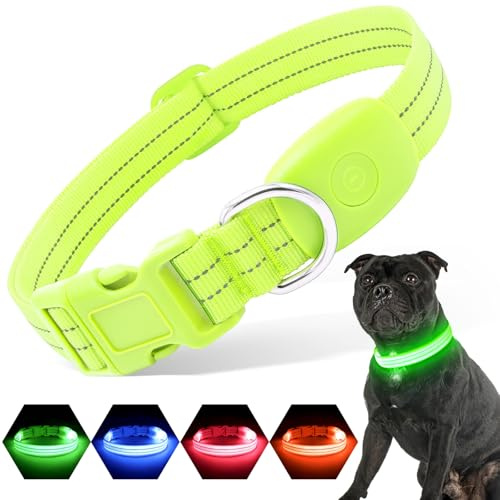 PZRLit LED Hundehalsband – Leuchthalsband Hund Verstellbar, Reflektierendes & Wasserdichtes Hundehalsband, USB Aufladbares Sicherheitshalsband für Kleine Mittel Große Hunde, Halsbänder
