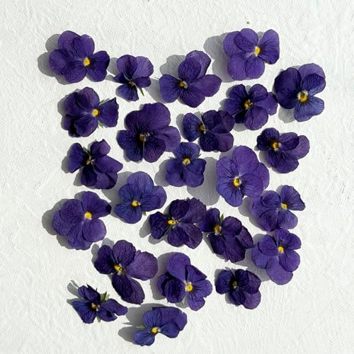 Edible Freeze Dried Purple Violas - 40 Flower Heads - UK Product – Certified Food Grade (526)