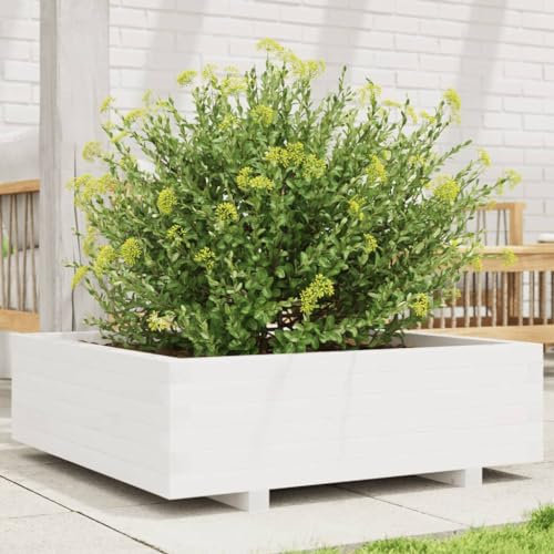 Juroupi Jardinière Blanc 80x80x26,5 cm Bois de pin Massif,Jardiniere sur Pieds,Bac avec Treillis,Jardiniere Terrasse