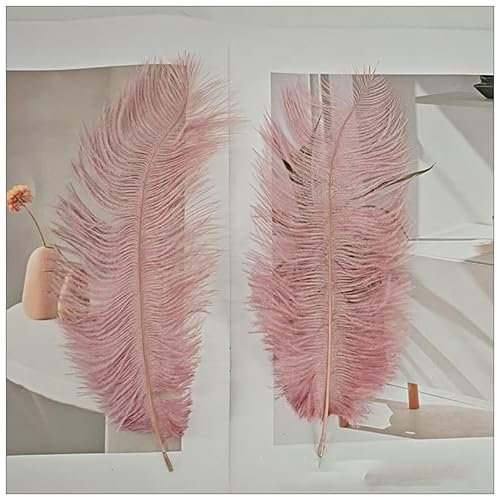 Rockreyoa Straußenfedern 20-25cm Bunte Federn Natürliche Federn Flauschig Bastelfedern Handwerksfedern Farbige Federn Basteln zum Federn für DIY Party Hochzeit Zuhause Dekor Soja-Rosa 50 Stück