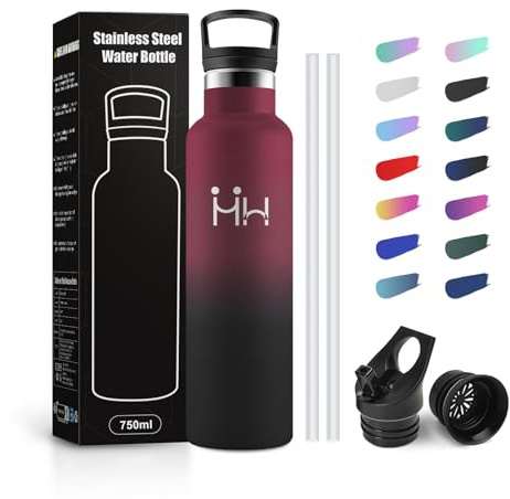 JAPORIA Botella Termica 750ml, Botella Agua Acero Inoxidable con Pajita y Filtro, Fácil de Limpiar, Termo a Prueba de Fugas, sin BPA, Cantimplora para Deporte, Oficina, Gimnasio, Ciclismo