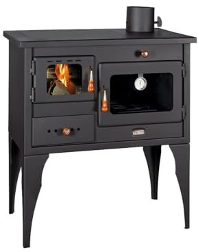 Poêle à bois Cheminée 10 kW Prity 1 L