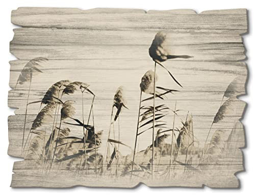 ARTland Wanddeko Bild aus Holz Holzbild vintage Deko 40x30 cm Querformat Natur Gräser Botanik Feld Sepia Frühling Landhaussstil T3MG