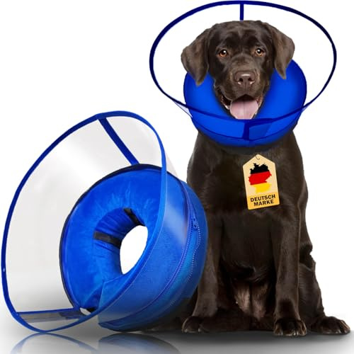 Aschpas® 2-IN-1 Aufblasbare Halskrause Hund mit Trichter, Halskrause Katze, Katzenkragen Hundekragen Leckschutz Hund, Hundebody nach OP, Abnehmbar Kragen Katze (Aufblasbar, M)