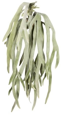 Pflanzen Kölle Kunstpflanze Geweihfarnhänger, grüngrau, Höhe ca. 80 cm