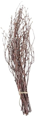 DOITOOL 10 Pezzi Rami di Betulla Secchi Decorativi in Legno Marrone 40 Cm per Decorazione Rustica Casa e Accessori Fotografici