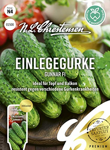 Einlegegurke Gunnar F1 N.L.Chrestensen Samen 1500