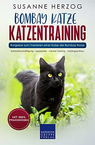 Bombay Katze Katzentraining - Ratgeber zum Trainieren einer Katze der Bombay Rasse: Katzenbeschäftigung – Jagdspiele – Clicker-Training – Trainingsaufbau (Bombay Katzen 2)