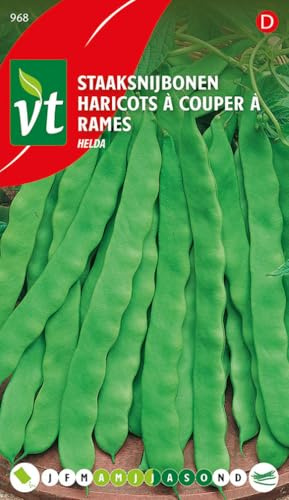 Haricots Helda Graines - Excellente variété à cosses longues et larges