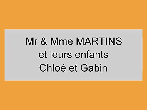 plaque ou etiquette boite aux lettres 3 lignes - argent 100x40mm