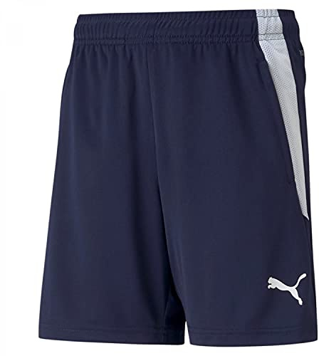 teamLIGA Training Shorts Jr