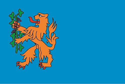 U24 Fahne Flagge Brummen Niederlande Bootsflagge Premiumqualität 80 x 120 cm