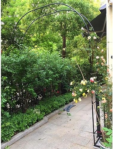 GueTTO Petite Arche de Jardin de 120 Cm, Cadre de Vigne Grimpante, Pergola, Tonnelle Extérieure, Arche de Rose,Arche Jardin pour Rosiers Plantes Grimpantes, 140cm 240cm 300cm 350cm,W120*H220cm