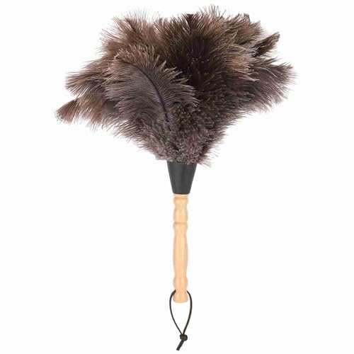 Plumeau en Plumes D'autruche avec Manche en Bois, Outil de Nettoyage pour Dépoussiérer les Livres, Claviers et Articles Décoratifs