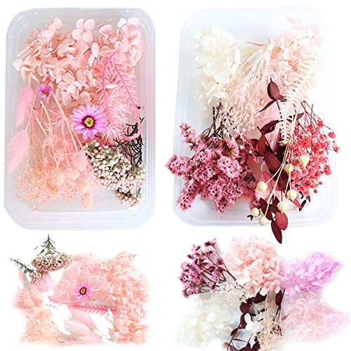 ysister 2 Kisten Trockenblumen Set Natur,Getrocknete Blumen Echt,Trockenblumen für die Heimdekoration Und Handwerkliche Deko,Trockenblumen Klein für Epoxidharz Deko,Getrocknete Blumen