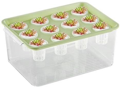 Aquarium-Fischzuchtbox, Brutkasten, Brutkasten, Brutkasten, Brutkasten, Brutkasten, Aquaponischer Übertopf und Aquarium, Desktop-Aquarium, Fischtank für Tischdekoration