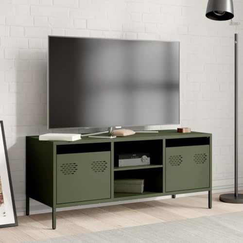 Natulvd Small TV Stand with 2 Drawers & Shelf, for up to 45 Inch TVs, Steel TV Cabinet Under TV Storage Cupboard, 101.5x39x43.5 cm (Green)