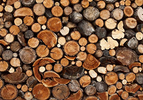 wandmotiv24 Fototapete Holz Holzoptik Holzstapel, XL 350 x 245 cm - 7 Teile, Wanddeko, Wandbild, Wandtapete, Brennholz, Kamin, Ofen M0706