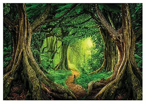 Fototapete Wald Kinderzimmer Waldweg Bäume Wandtapete Vlies Tapete UV-Beständig Geruchsfrei Hohe Auflösung Montagefertig (13852, V12 (460x300 cm) 5 Bahnen)