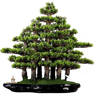 Künstlicher Bonsai Künstlicher Bonsai-Baum, grün, große Dekoration, Simulation, Willkommenskiefer, Bonsai-Baum, Büro, Wohnzimmer, Desktop-Dekoration, künstlicher Topf-Kunstbaum Künstliche Zimmerpflanz