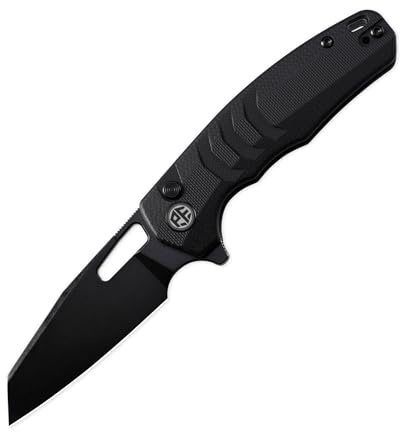 Petrified fish PFE17 Trilobite Klappmesser, 3.03 14C28N Stahl Klinge G10 Griff EDC Taschenmesser (Black Black Stonewashed)