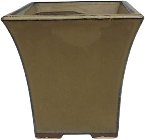 Genérico BIOMATA Maceta Bonsai Ceramica Estilo Cascada 12x12x11 cm | Macetero Bonsai Hecho en Japón | Tiesto con Agujero de Drenaje | Árbol no Incluido (Verde)