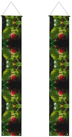 Banner portico WZYWHJ lamponi stampato decorazione da appendere alla parete banner porta segno, per esterni e interni, cortile festa 30,5 x 180 cm