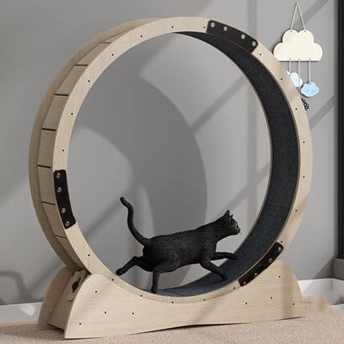 Robustes Katzenlaufrad, großes Katzenlaufrad für Hauskatzen, Außendurchmesser 100 cm, Katzenrad mit Sicherheitsverriegelung und austauschbaren Gr
