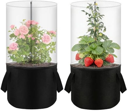 Mini Serra Per Uso In Interni - Copertura Protettiva contro il per Mini Vasi da Fiori | Copertura Di Protezione Dal Gelò Del Giardino | Per Balcone Vivaio Giardino Casa Utilizzo In Esterno E Interno E