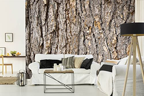 Vlies Fototapete RINDE DER TANNE 375 x 250 cm (inkl. Kleister) - Vlies Tapete, Wandtapete, Wandbilder - Tapete für Wohnzimmer Schlafzimmer, Büro, Küche - Montagefertig
