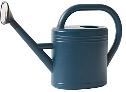 Ailovone Gießkanne Pflanzengießkanne Blumengießkanne 3 Liter Gartengießkanne aus Kunststoff zur Pflege und Bewässerung Gießkanne mit Langer Auslauf für Rasen, Innenterrasse, Büro (Blau)