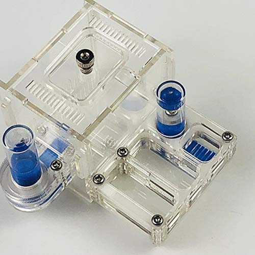 ZHL Acryl Farm Ameisenhaus Ant Nest Insect Villa Ameisenfarm Mit Wasserturm Für Lebende Ameisen (Color : Transparent)