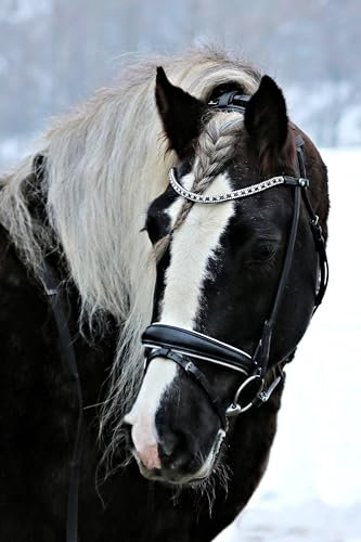 Tysons Trense Zaum Deluxe Rund genäht + Zügel Glitzer Stirnriemen Leder Schwarz rundgenäht (WB)