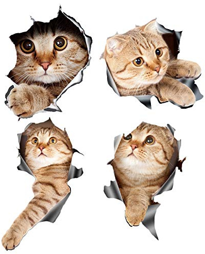 Fegtrtyoa (4 Stück 3D Katze Auto Aufkleber Aufkleber/Aufkleber für, Auto, Laptop oder